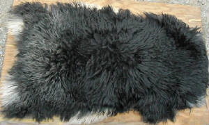 Fiber/Pelt-Ember.JPG