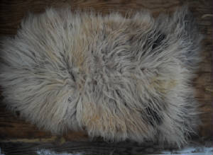Fiber/Pelts2.jpg