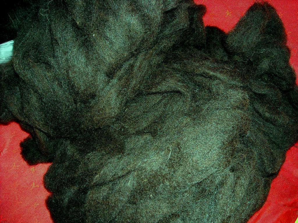 Woolblack.jpg