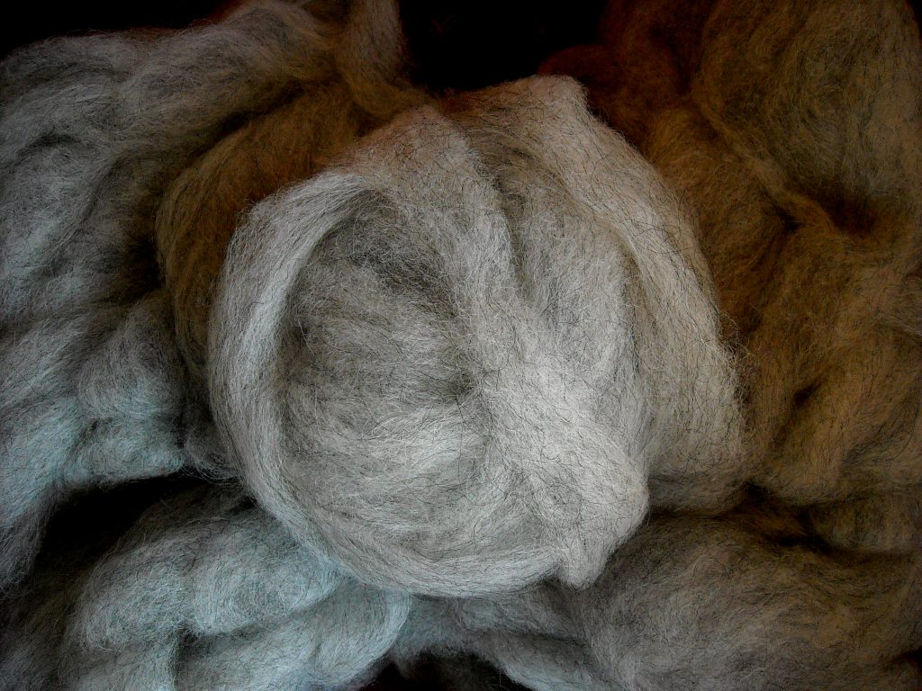 Woolgrey.jpg