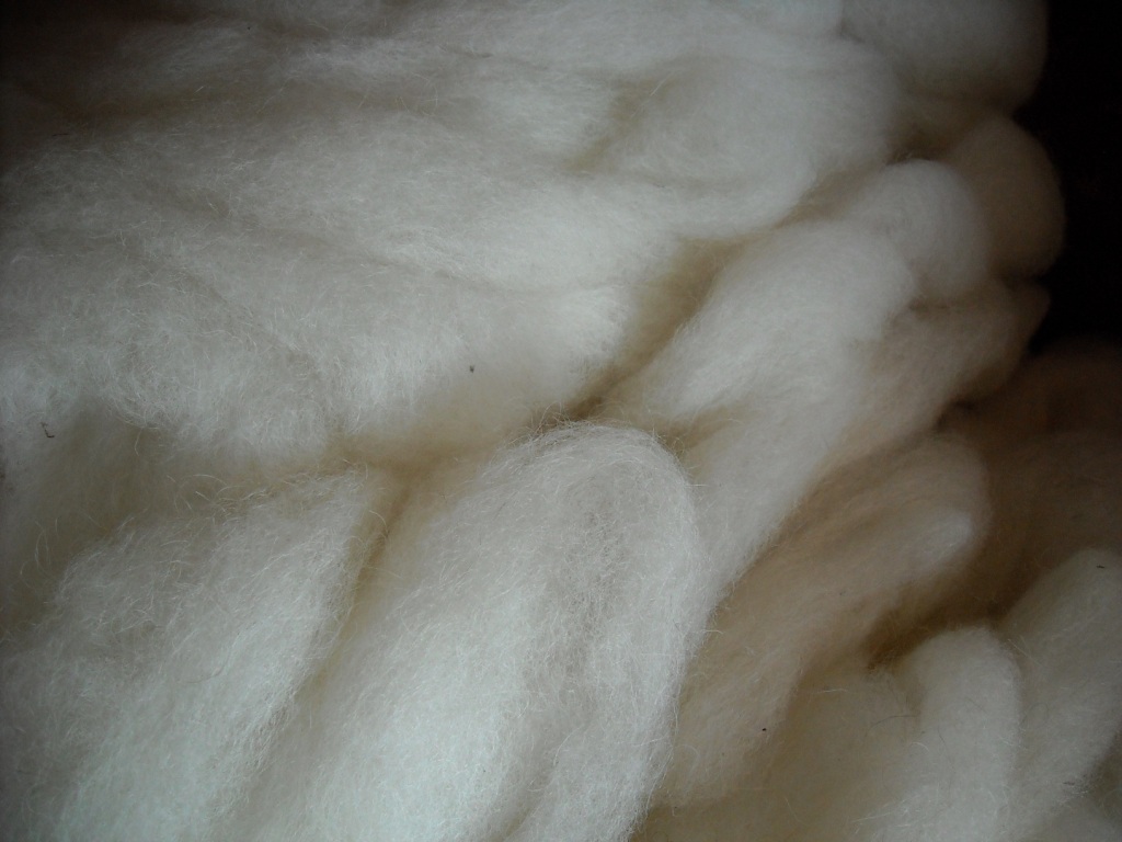 Woolwhite.jpg